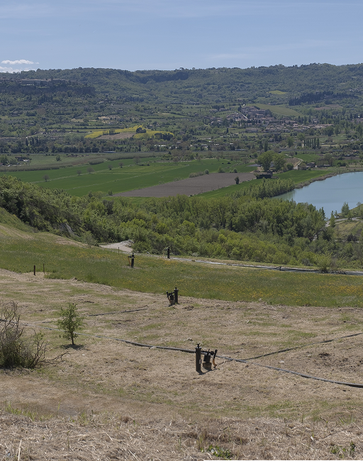 Video dichiarazione Acea Ambiente un campo verde con delle montagne sullo sfondo e un laghetto