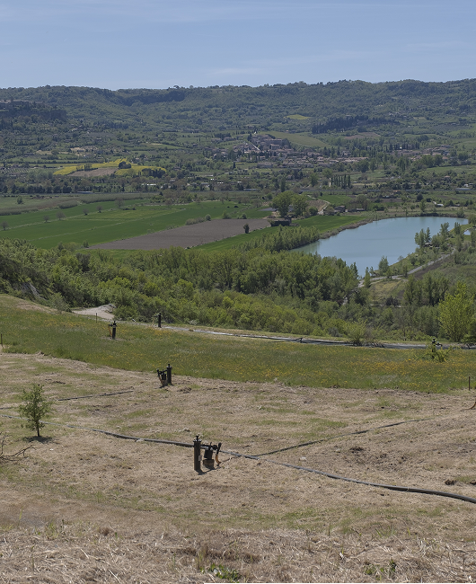 Panoramica esterna della discarica esaurita e riambientata situata nei pressi del polo impiantistico di Orvieto